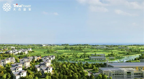 分布式光伏“大浪淘沙” 什么是打造新質(zhì)生產(chǎn)力的關(guān)鍵？