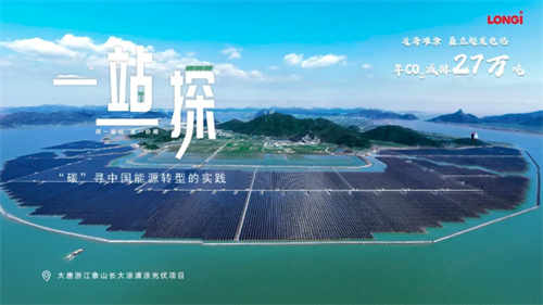 震撼！63.7萬(wàn)塊隆基組件建起灘涂上的鋼鐵森林