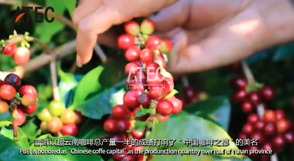 深圳安泰科柔性山地篇 | 撐起普洱光伏咖啡園的綠色屏障