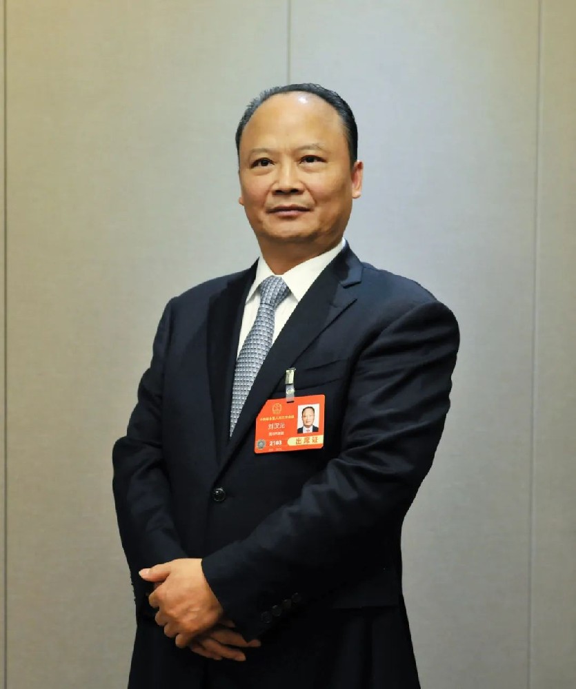 全國人大代表劉漢元：建議擴大國內光伏裝機，推進(jìn) “3060” 目標達成